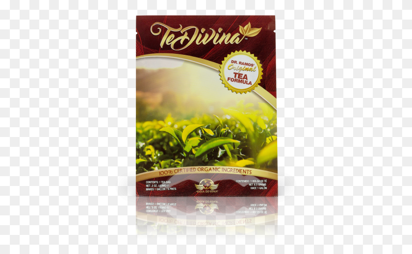 371x459 Tedivina Tea Divina, Advertisement, Vase, Jar HD PNG Download