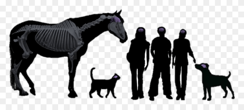 836x343 Teen Vet Club Grazing Horse Silhouette Clipart, Person, Human, Leisure Activities HD PNG Download