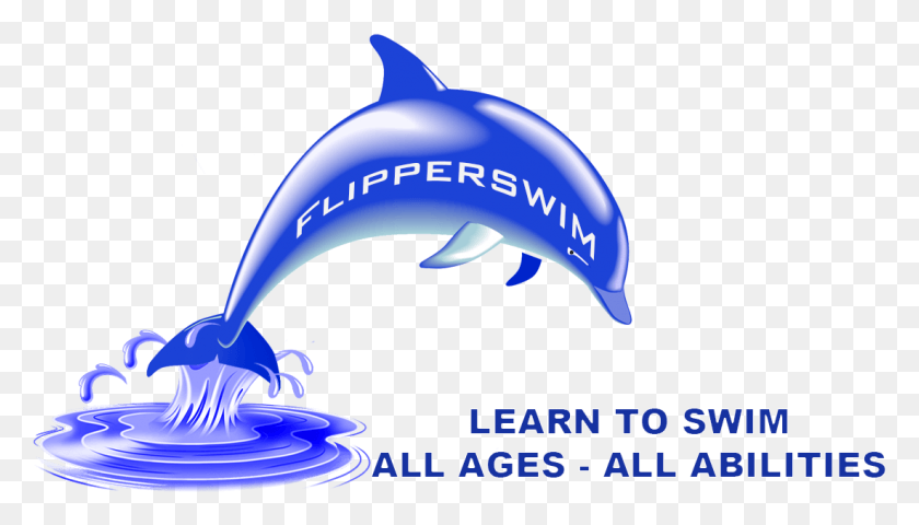 1101x593 Teikyo Swimming Lessons Fulmer, Dolphin, Mammal, Sea Life HD PNG Download