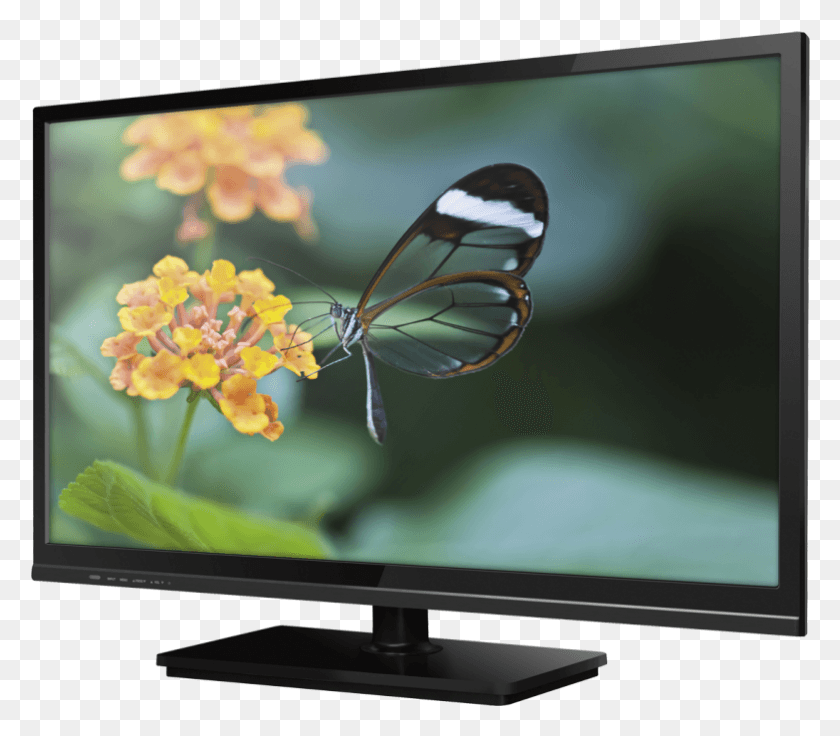 784x680 Television Plasma, Monitor, Screen, Electronics HD PNG Download