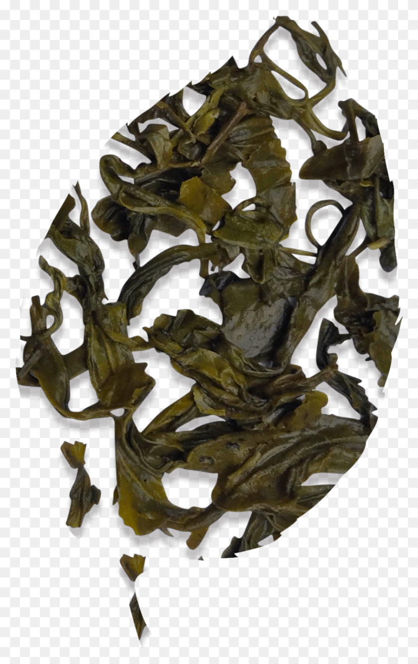 839x1371 Temple Of Heaven White Tea, Seaweed, Plant HD PNG Download