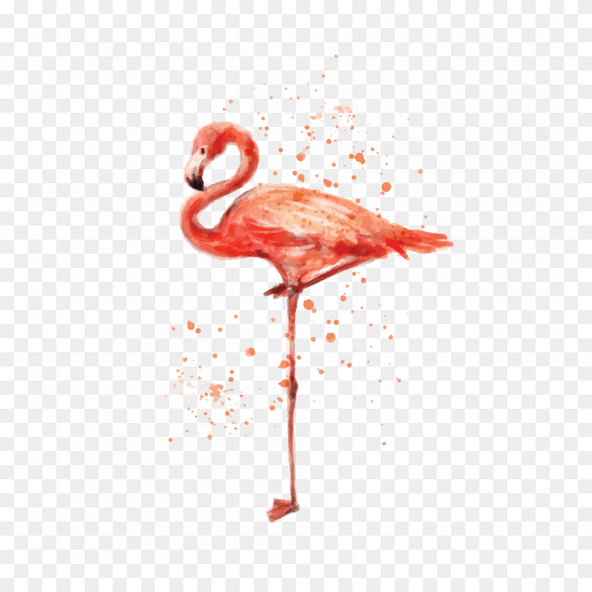 1110x1110 Temporary Tattoo Pink Flamingo Greater Flamingo, Bird, Animal, Fungus HD PNG Download