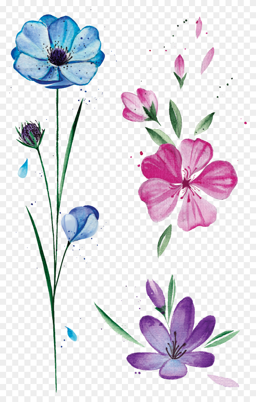 1069x1726 Descargar Png Tatuaje Temporal Flores De Primavera Vremennie Tatu Cveti, Geranio, Flor, Planta Hd Png