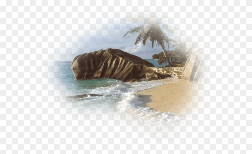 601x453 La Tentación Island Filipinas Remake, Shoreline, El Agua, Mar Hd Png