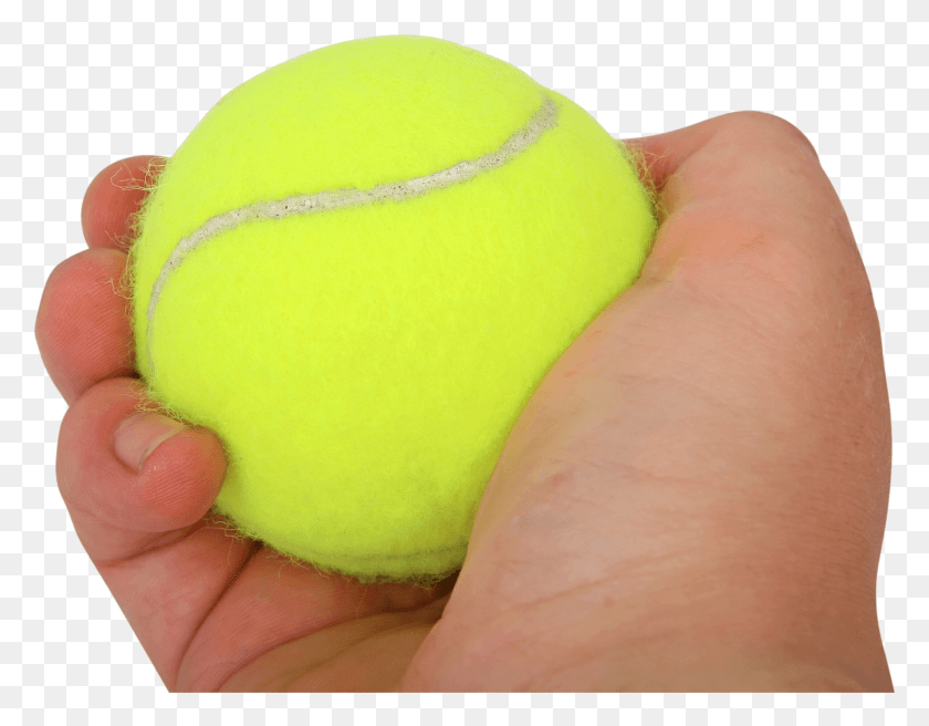 2252x1722 Теннисный Мяч В Руке Изображение, Теннис, Мяч, Спорт Png Скачать