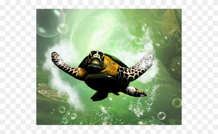569x457 Tenura Yellow Non Slip Coaster 9 X 9cm Pack Of, Sea Turtle, Turtle, Reptile HD PNG Download