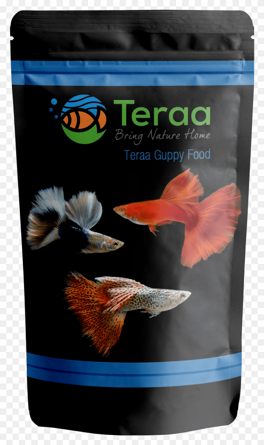 1216x2115 Teraa Guppy Fish Food Aquarium, Bird, Animal, Goldfish HD PNG Download