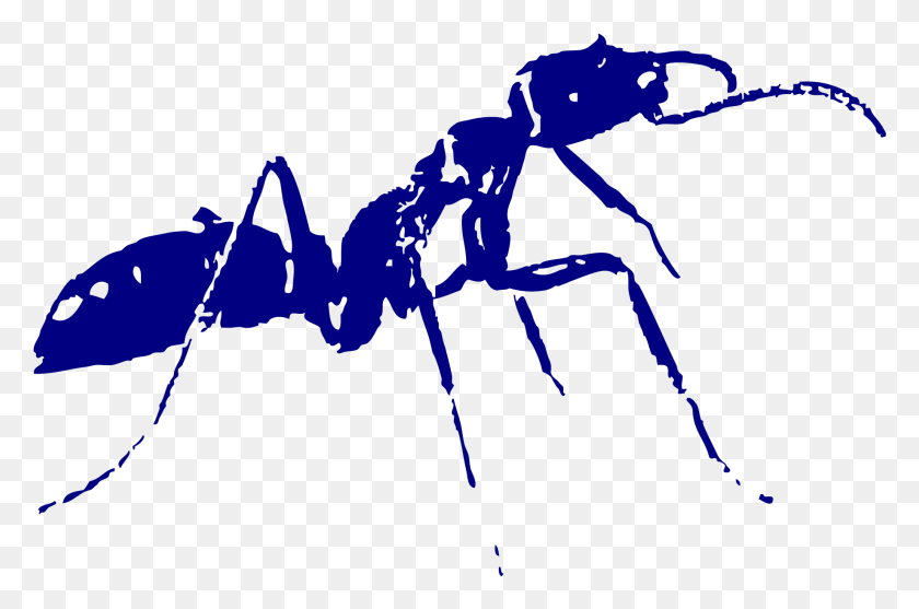 1838x1172 Termitas 1024x1024 Hormigas Enfermedades Que Transmiten, Ant, Insect, Invertebrate HD PNG Download