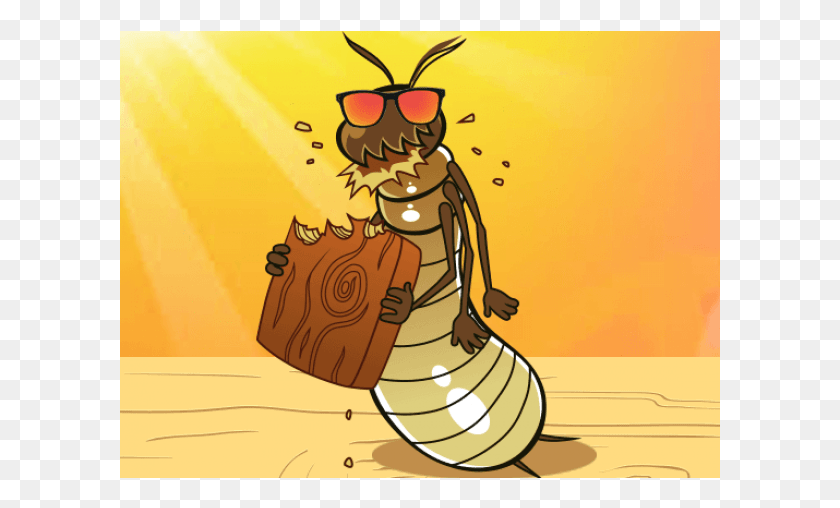 601x448 Termite Cartoon, Animal, Sunglasses, Accessories HD PNG Download