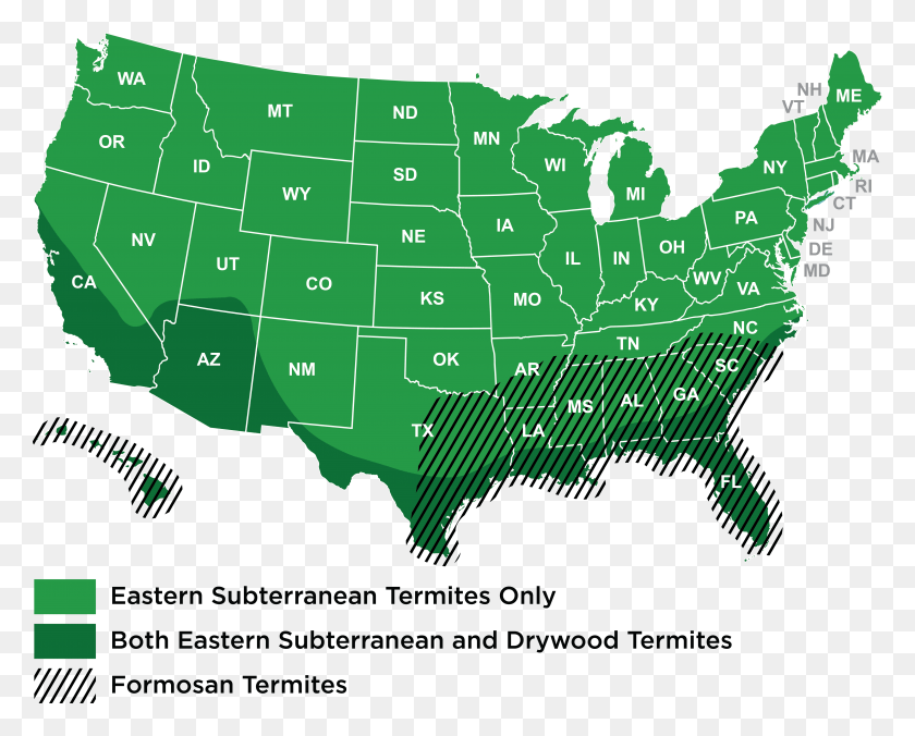 4785x3782 Termites By Region Rural Vs Urban Map, Plot, Vegetation, Plant HD PNG Download