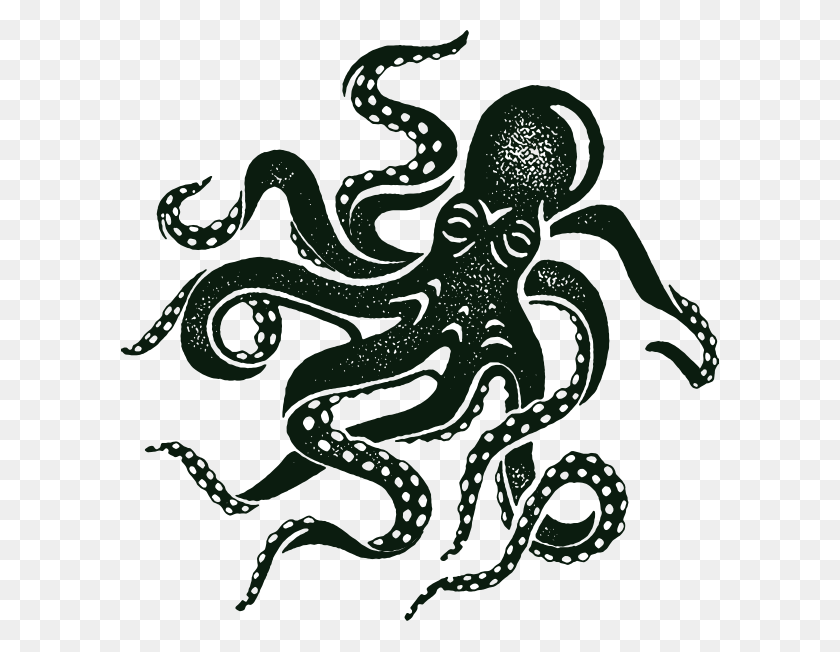 598x592 Terms Of Use Octopus, Dragon, Invertebrate, Sea Life HD PNG Download