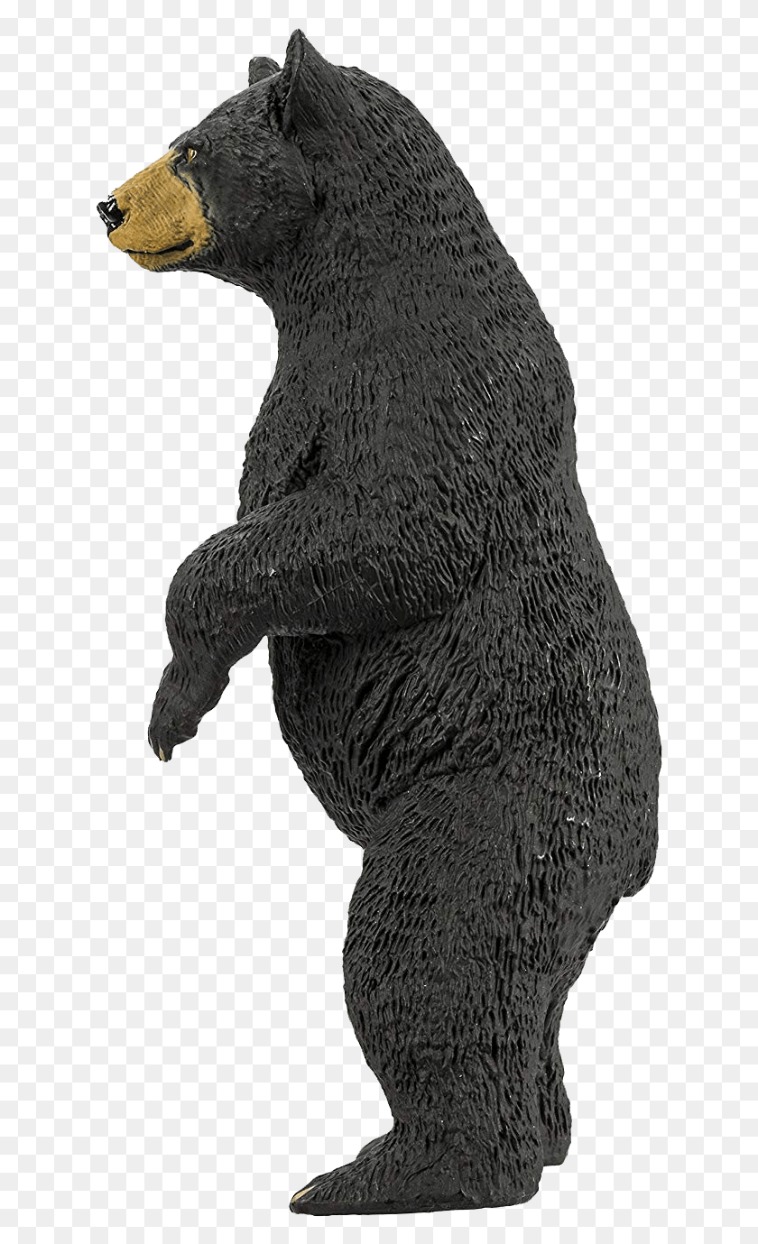 629x1319 Терра Баттат Черный Медведь, Дикая Природа, Животное, Млекопитающее Hd Png Скачать