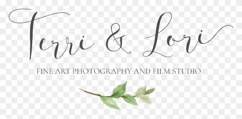 2307x1052 Terri And Lori Calligraphy, Text, Plant, Handwriting HD PNG Download
