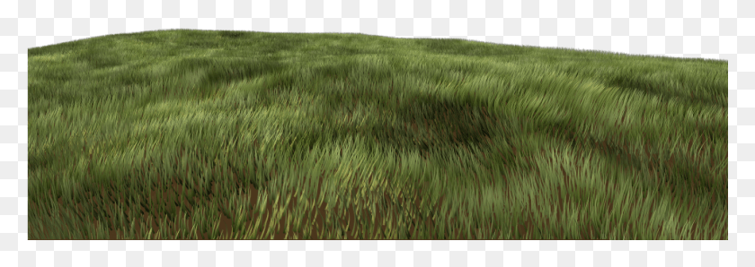 961x294 Testcomposite Trees Grass Grass Concept Art, Растение, Лужайка, Поле Hd Png Скачать