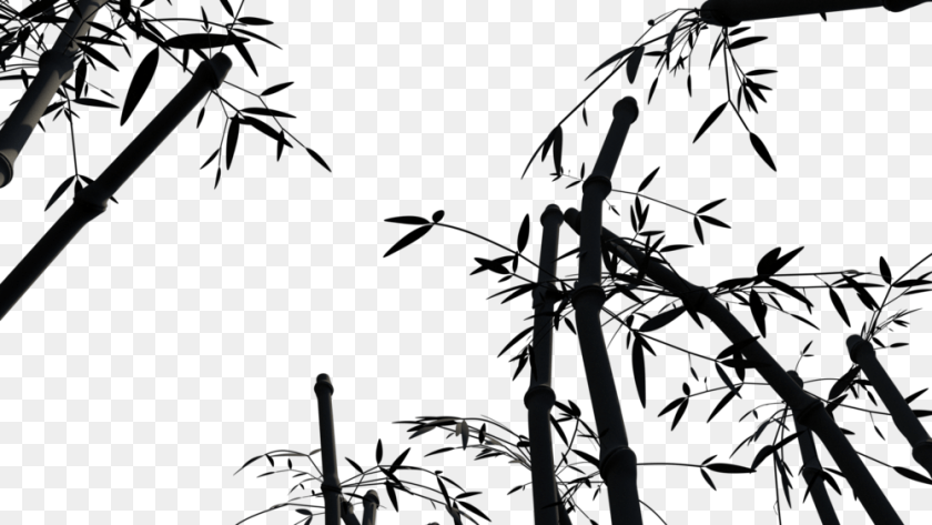 Testscene 6 0001 Portable Network Graphics, Bamboo, Plant, Bicycle, Transportation Clipart PNG