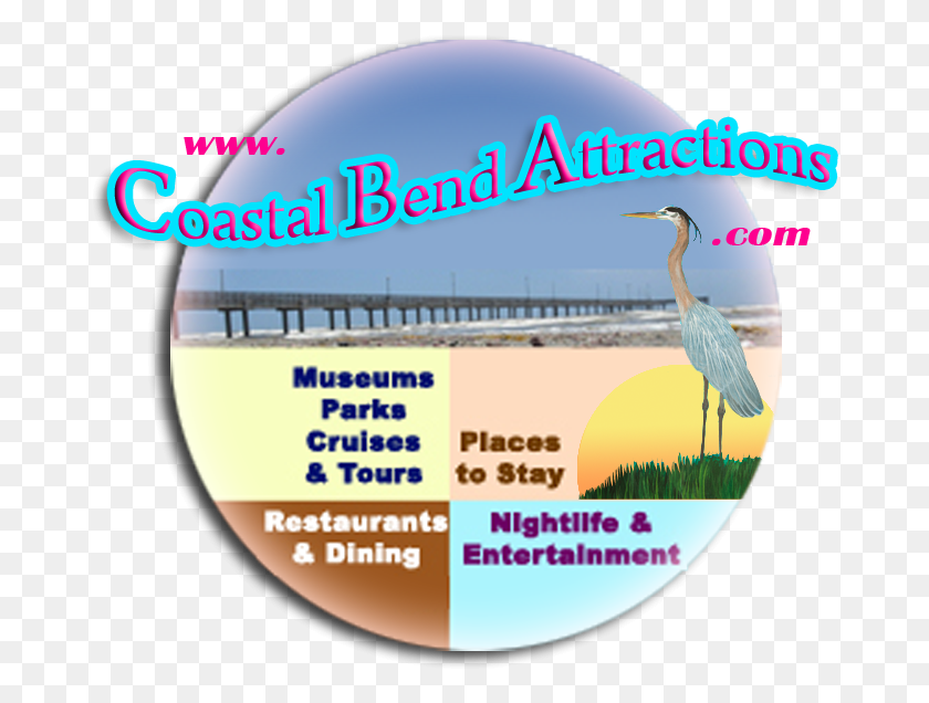 676x576 Texas Coastal Bend Attractions Ciconiiformes, Bird, Animal, Waterfowl HD PNG Download