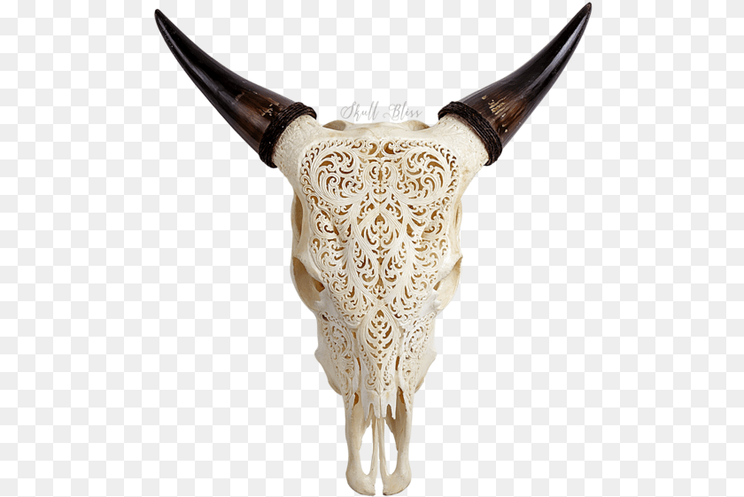 497x561 Texas Longhorn English Longhorn Animal Skulls Cow S Engraved Cow Skull, Blade, Dagger, Knife, Weapon Clipart PNG