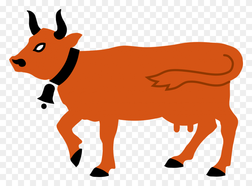 1280x919 Texas Longhorn Highland Ganado Lechero Ayrshire Vaca Naranja, Mamífero, Animal, Oveja Hd Png