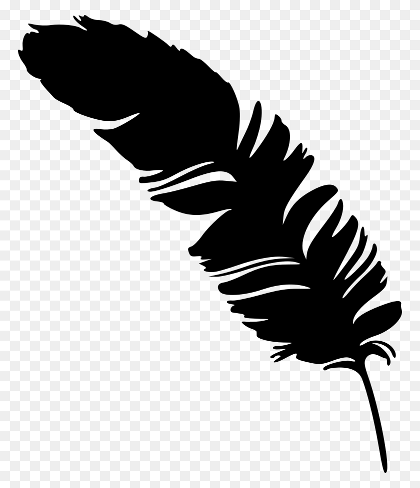 768x914 Texas Silhouette Transparent Background Feather Vector, Gray, World Of Warcraft HD PNG Download