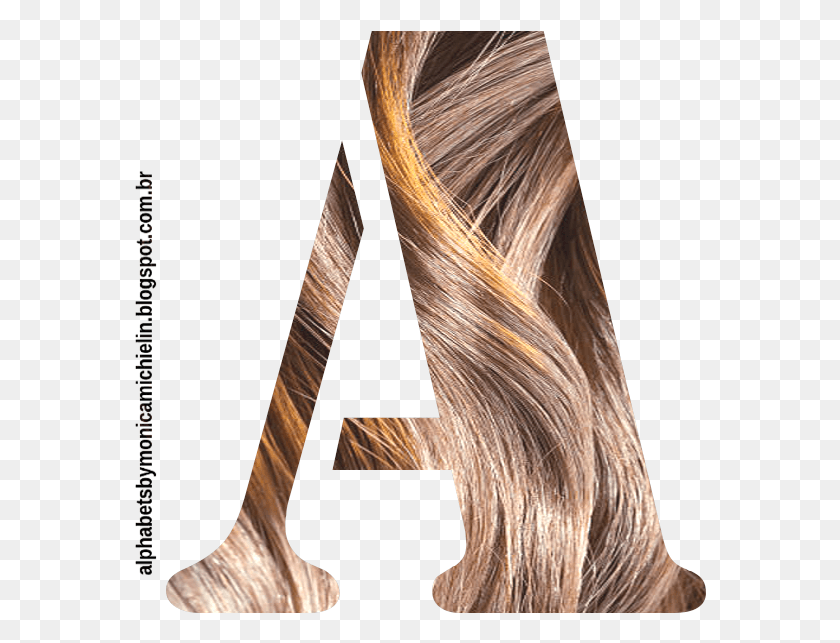 573x583 Textura De Cabelo Alfabeto Lace Wig, Hair, Person, Human HD PNG Download