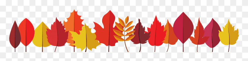 1898x364 Thank You For Always Supporting Blue Mountain Students Thanksgiving, Leaf, Plant, Pattern HD PNG Download