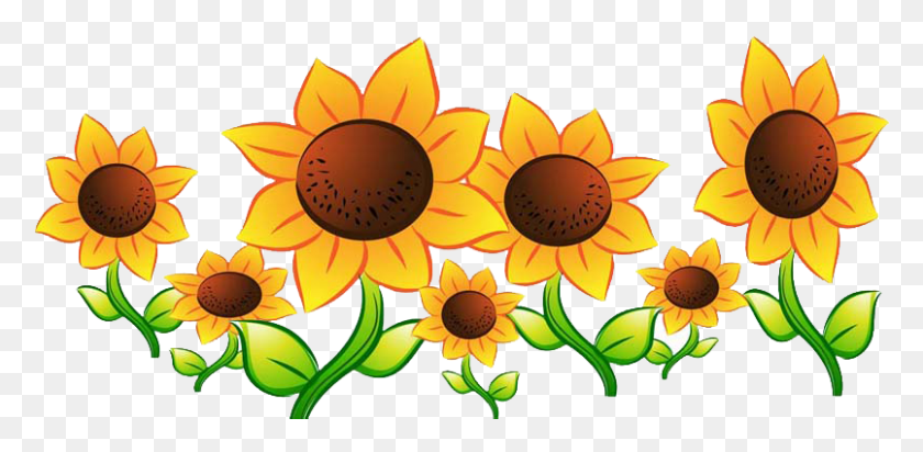 805x364 Thank You To All The Campers And Their Moms Cartoon Sunflower, Plant, Flower, Blossom HD PNG Download