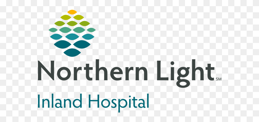 598x338 Thank You To Our 2019 Business After Hours Sponsors Northern Light Mercy Hospital, Graphics, Floral Design HD PNG Download