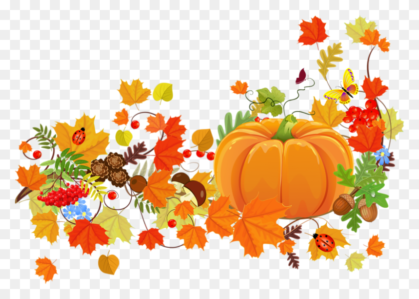 800x554 Thanksgiving Dinner Harvest Festival Clip Art Thanksgiving, Graphics, Floral Design HD PNG Download