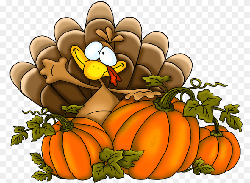 800x615 Thanksgiving Pumpkins Turkey, Food, Plant, Produce, Pumpkin Clipart PNG