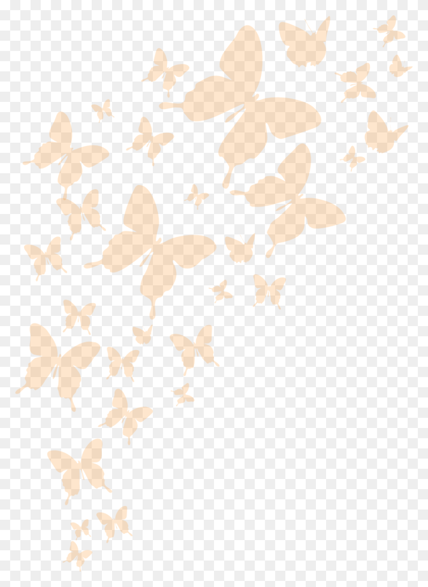 864x1210 That Wants To Book All That Room Brush Footed Butterfly, Leaf, Plant, Paper HD PNG Download