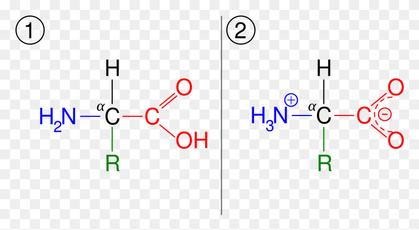 1183x610 Thc Molecule Lewis Dot Structure Аминокислота Общая Форма, Текст, Число, Символ Hd Png Скачать