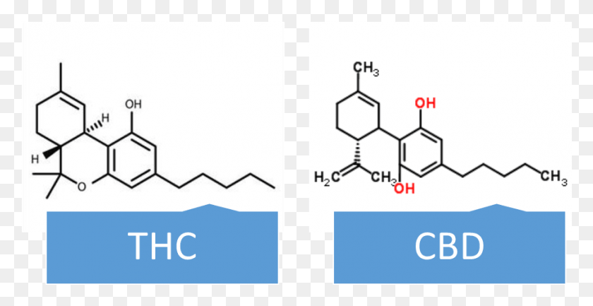 903x432 Thc Vs Cbd Molecule Tetrahydrocannabinol Oxidation, Number, Symbol, Text Hd Png Download