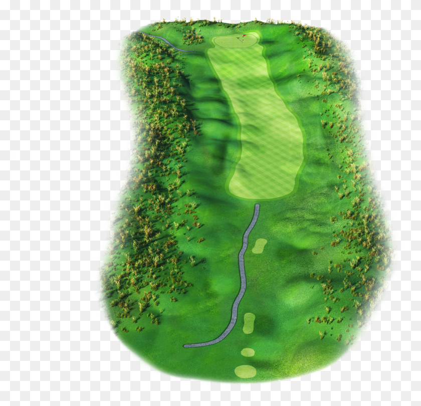 1194x1149 The 17th Hole At Le Golf National Chlorophyta, Land, Outdoors, Nature HD PNG Download