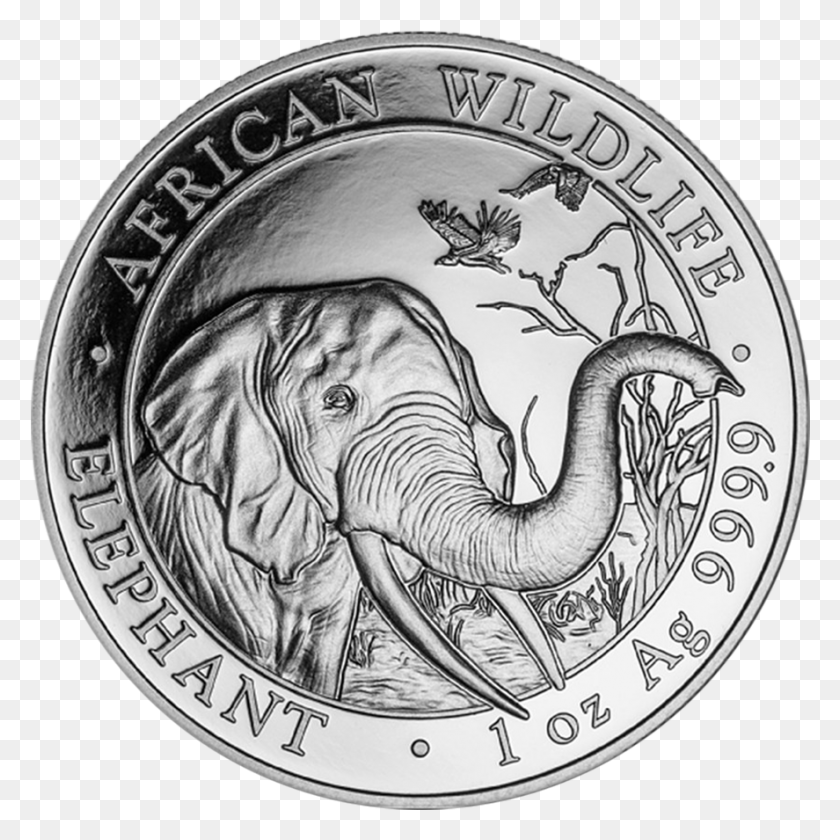 887x887 The 2018 Somalian Elephant 1oz Silver Coin Features 2015 1 Oz Somalian Silver Elephant Coin Bu, Money, Nickel, Wildlife HD PNG Download