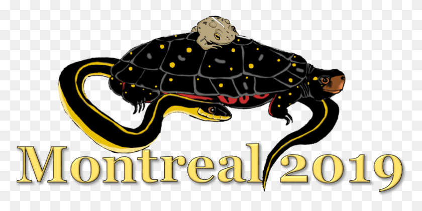 782x361 The 2019 Annual Conference Of The Canadian Herpetological Reptile, Animal, Amphibian, Wildlife HD PNG Download