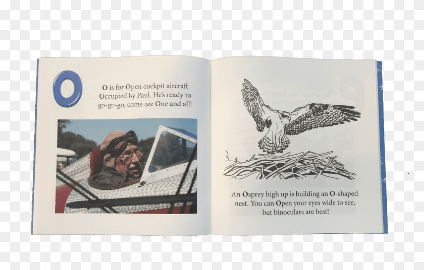 1068x652 The Abcs Of Flying Over Delmarva Buzzard, Bird, Animal, Person HD PNG Download