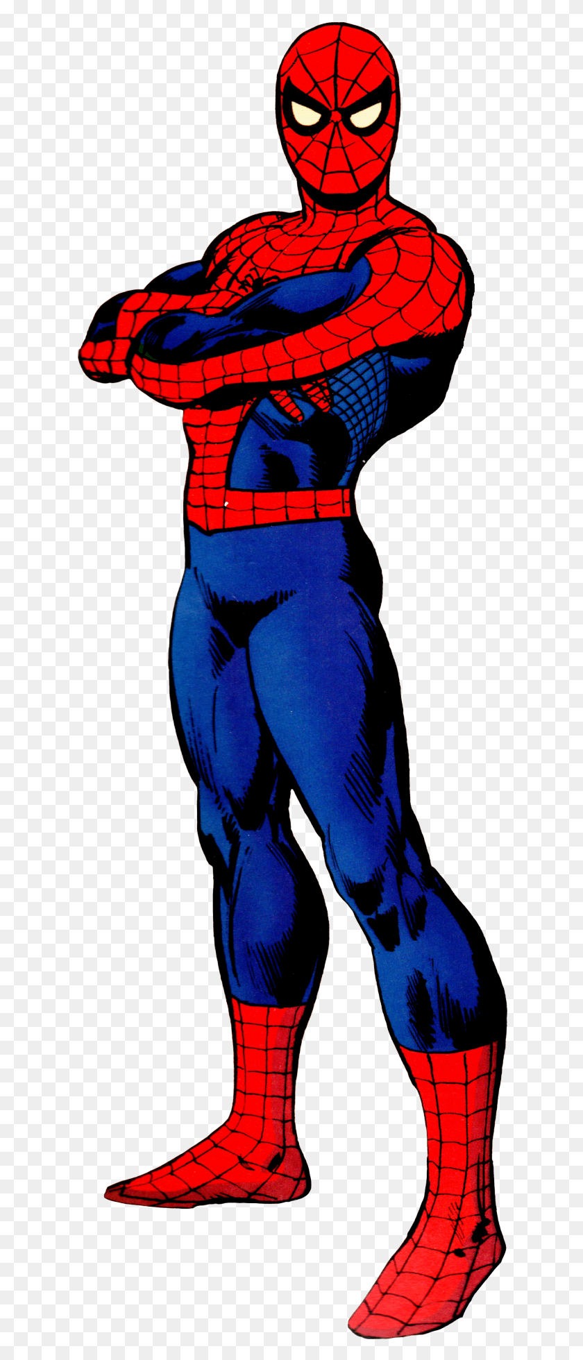 625x1900 The Amazing Spider Man By Ross Andru Amp Dick Giordano Hombre Cuerpo Completo, Person, Human, Clothing HD PNG Download