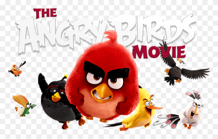 1001x614 The Angry Birds Movie Angry Birds Movie, Bird, Animal HD PNG Download