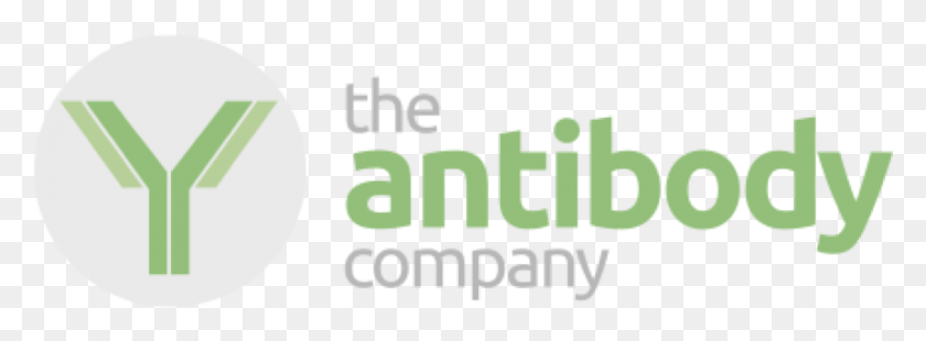 861x276 The Antibody Company Logo Graphic Design, Text, Word, Alphabet HD PNG Download