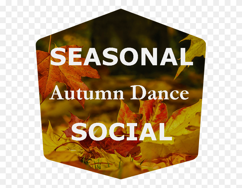 591x591 The Autumn Dance, Advertisement, Poster, Flyer HD PNG Download