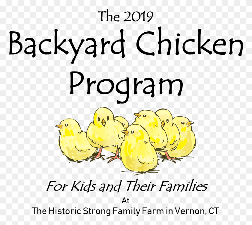 1199x1065 The Backyard Chicken Program Cartoon, Bird, Animal, Graphics HD PNG Download