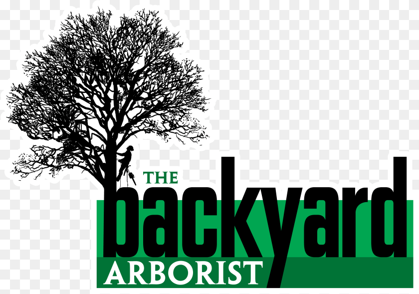 3000x2103 The Backyard Thebackyardarboristweb Your Full Service Arborist Logos, Plant, Sticker, Tree, Oak Transparent PNG