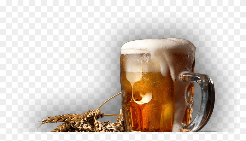 996x541 The Barley Oak Da Internacional De La Cerveza 2018, Glass, Beer Glass, Beer Hd Png