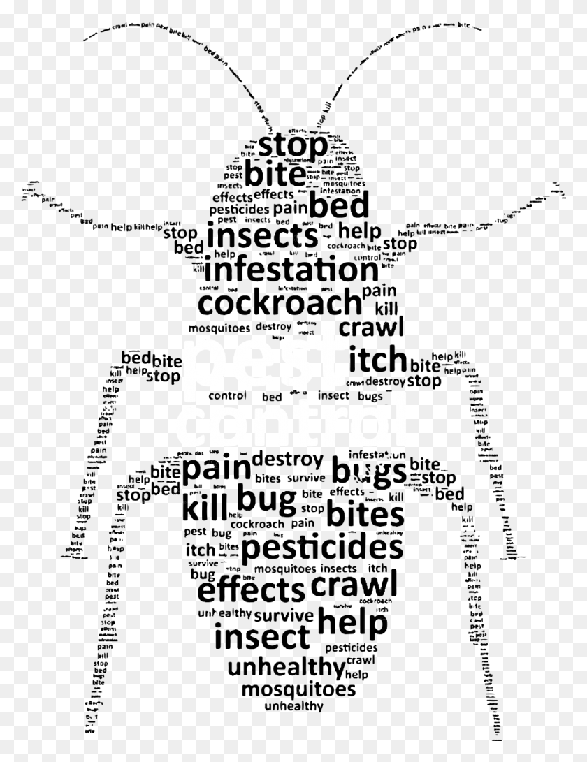 1087x1437 The Bed Bugs Pest Control Technicians In Sydney We Insect, Text, Symbol, Alphabet HD PNG Download