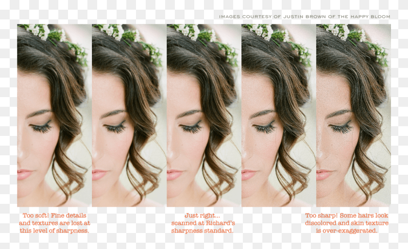 771x453 The Below Example Shows Increments Across The Full Sharpness Of Film, Face, Person, Human HD PNG Download