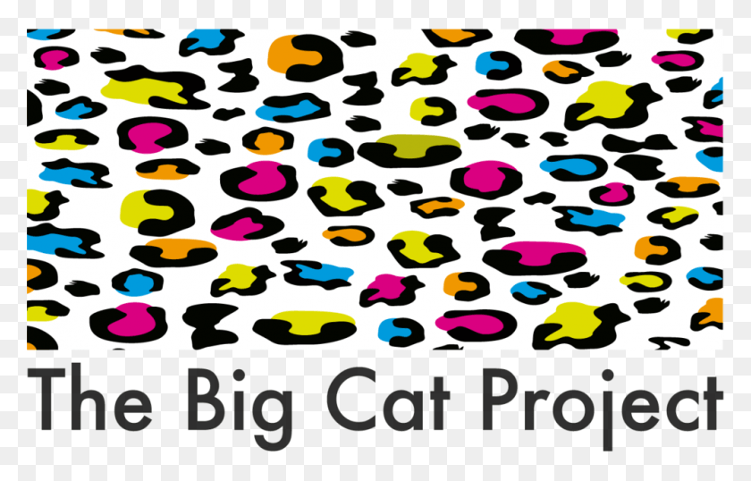 1000x614 The Big Cat Project Color, Rug, Bird, Animal HD PNG Download