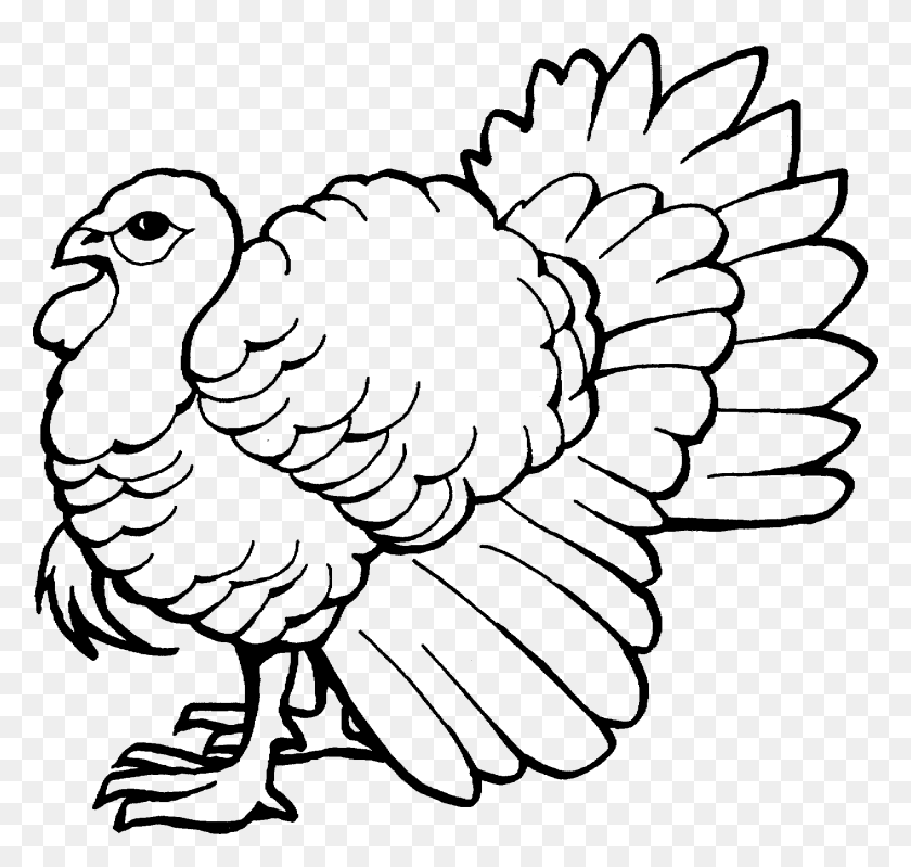 1899x1800 The Big Wild Turkey Coloring Pages, Turkey Bird, Poultry, Fowl HD PNG Download