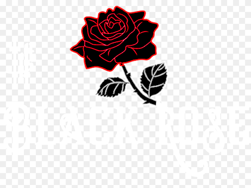 960x720 The Black Rose Desktop Wallpaper, Flower, Plant Clipart PNG