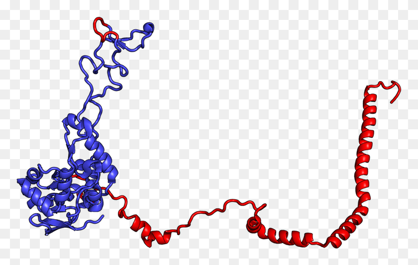 779x473 The Blue Part Sticks Into The Protein Chain Exit Tunnel, Graphics, Light HD PNG Download
