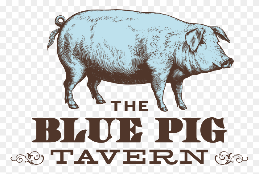 771x505 The Blue Pig Tavern Domestic Pig, Hog, Mammal, Animal HD PNG Download